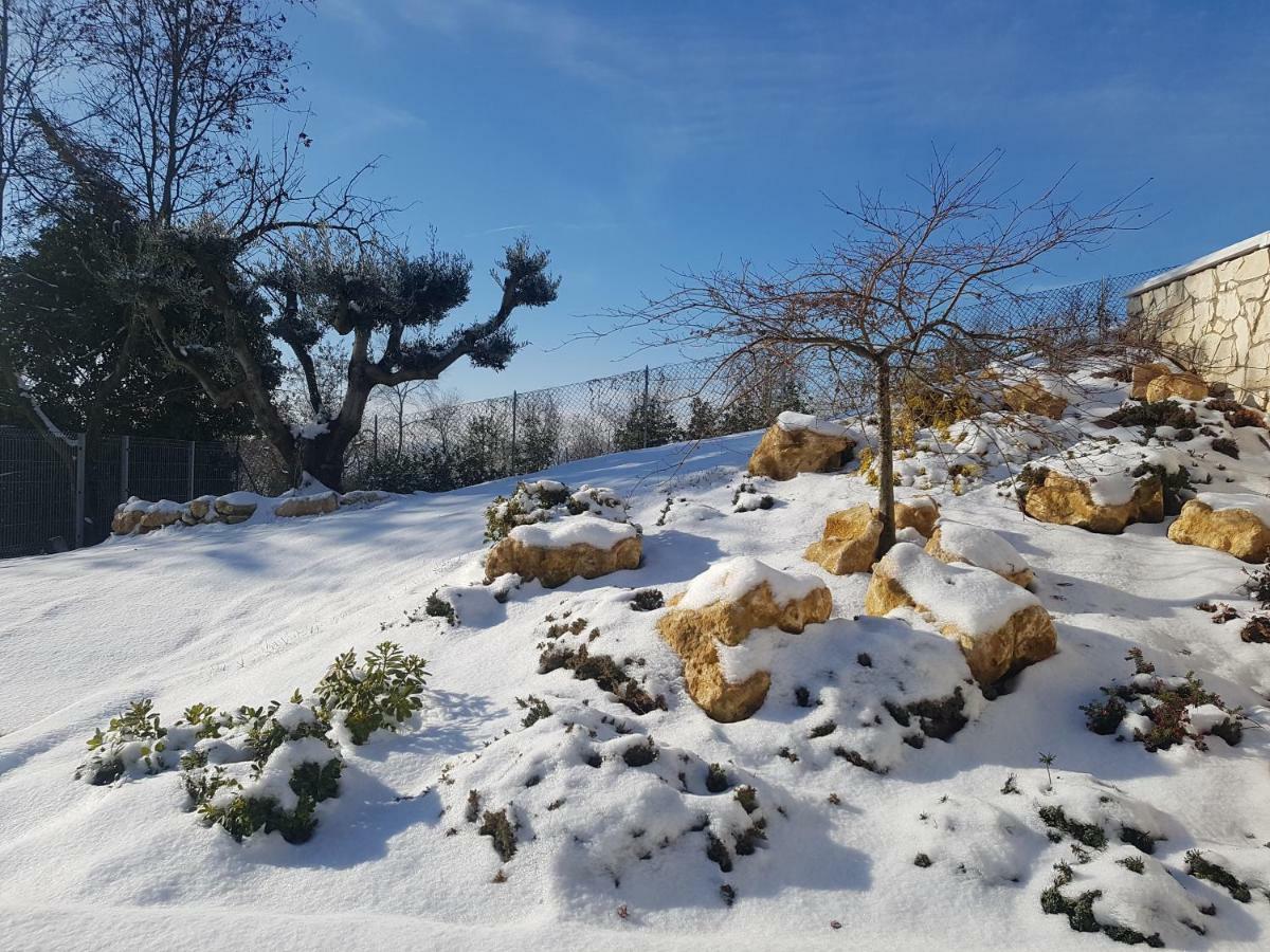 Tobaland B&B Monteviale Exterior photo